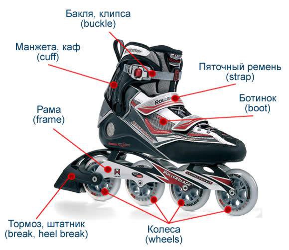 Советы начинающим роллерам image:1