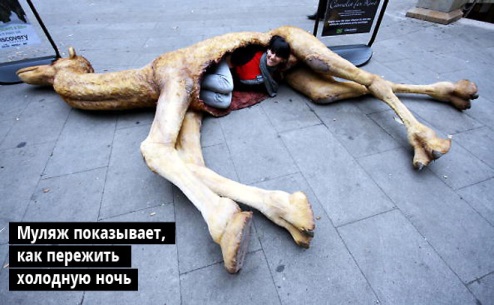 Советы по выживанию Беара Гриллса. Защита image:2